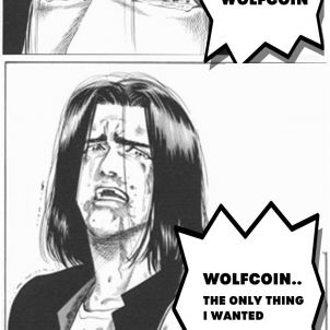 I WANTED WOLFCOIN (SLAM DUNK VERSION)