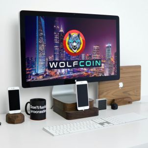 울프코인을 사랑하는 남자 A MAN WHO LOVES WOLFCOIN