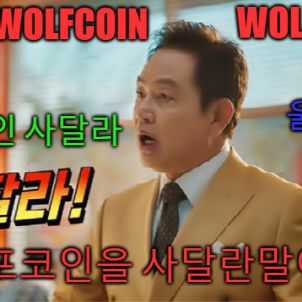 울프코인 사달라 - WOLFCOIN - WOLFKOREA