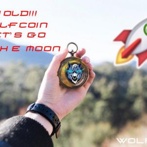 HOLD!!! WOLFCOIN!! Let’s go!!  TO THE MOON!!