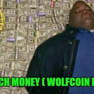 TOO MUCH MONEY - WOLFCOIN