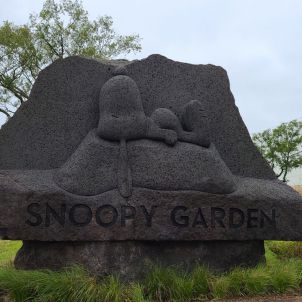 제주도 여행 새로운 명소 스누피 가든(SNOOPY GARDEN)