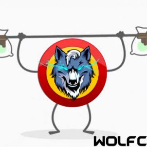 WOLFCOIN : Cheer up Bro