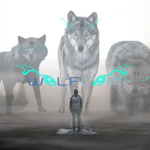 WOLFCOIN will protect you.