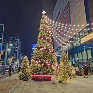 대전 유성 온천 ♨️ 족욕체험장(무료)