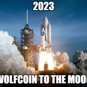 to the moon