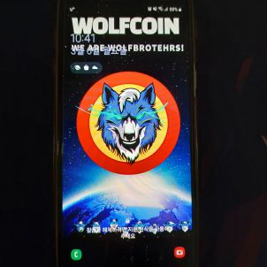 휴대폰 배경 (WOLFCOIN)