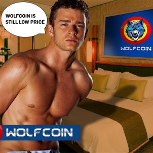 매력적인 남자의 증명: 울프코인  PROOF OF AN ATTRACTIVE MAN: WOLFCOIN