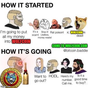 HOW IT'S GOING ? - WOLFCOIN