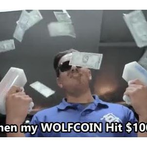 When my WOLFCOIN Hit $1000