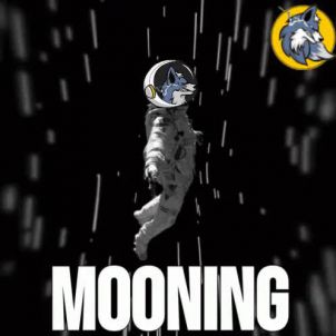 WOLFCOIN MOONING!