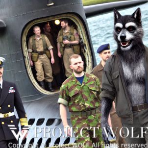 Project  Wolf /Agent Wolf