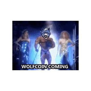 WOLFCOIN  is COMING