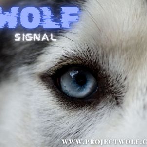 PROJECT WOLF SIGNAL! (WOLFCOIN)