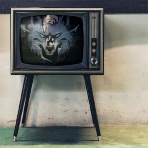 TV - WOLFCOIN