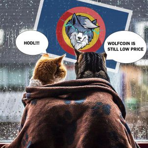 고양이도 하는 울프코인 INVESTING IN WOLFCOIN EVEN CATS