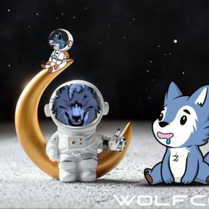 WOLFCOIN ENJOY MOON LIFE