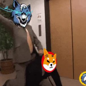 WOLFCOIN : Get down Shiba!!