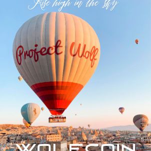 RISE HIGH IN THE SKY. PROJECT WOLF. WOLFCOIN.