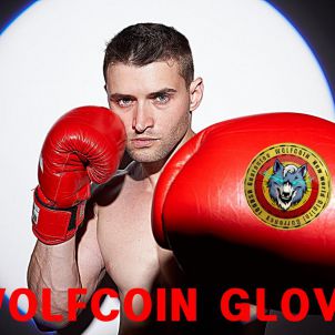 WOLFCOIN BOXING GLOVE