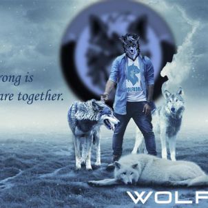 Because they are together : WOLFCOIN