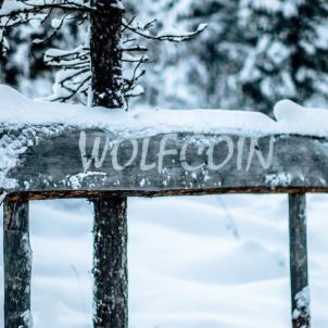 SNOW ROAD - WOLFCOIN