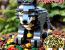 WOLFCOIN MEME Wolf LEGO~