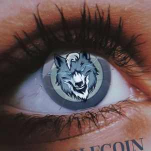 WOLFCOIN Pupils