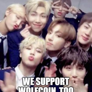 BTS SUPPORT WOLFCOIN, TOO