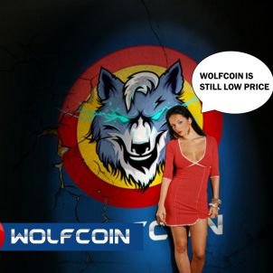 모든 여자는 울프코인을 원한다 EVERY WOMAN WANTS A WOLFCOIN