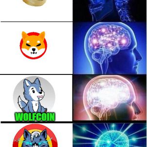 brain -WOLFCOIN