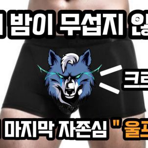 "이제 밤이 무섭지 않아~"  WOLFCOIN