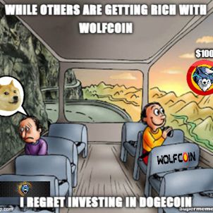 What the hell did I do while everyone was getting rich with WOLFCOIN?