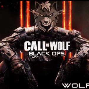 Call of WOLF : WOLFCOIN