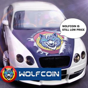 울프코인 자동차 WOLFCOIN CAR