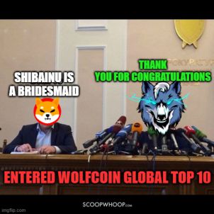 울프코인 글로벌 탑 10 진입 - WOLFCOIN - WOLFKOREA