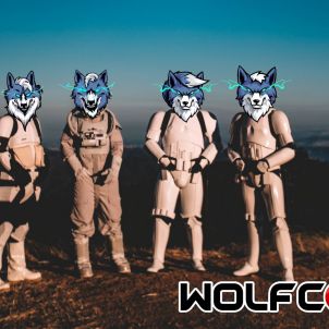 Wolfcoins Ready // Bro, are you ready?