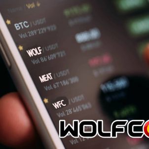 You're next after Bitcoin. WolfCoin