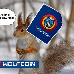 현명한 다람쥐는 울프코인을 원한다 THE WISE SQUIRREL WANTS WOLFCOINS