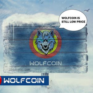 울프코인은 언제나 저점이다 WOLFCOIN IS ALWAYS LOW PRICE