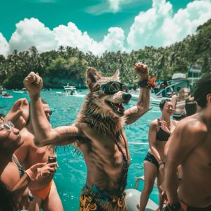 Project wolf / World traveler wolf - Philippine