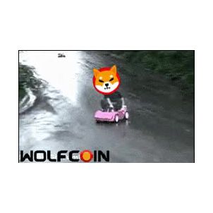 WOLFCOIN : You can not go to here