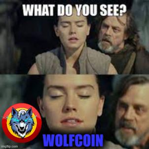 뭐가보여?? WOLFCOIN