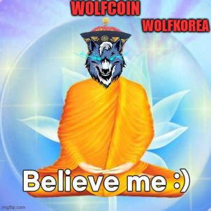 내 말을 믿어라 - WOLFCOIN - WOLFKOREA