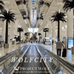 Welcome to WOLFCITY : WOLFCOIN