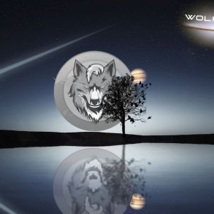 Impossible, that means the possibility to challenge. WOLFCOIN will challenge the impossible and enable success.