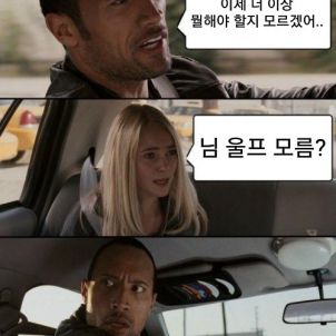 뭘 해야 할지 모르겠다구? WOLFCOIN