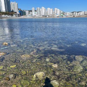 [부산 사하구] 마! 부싼에 왔으면 바다 함 봐야지 - 1