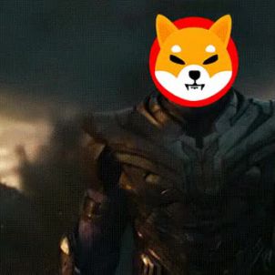 진 vs 시바 / WOLFCOIN, Captian vs Thanos , shiba inu