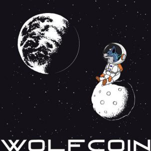 The WOLFCOIN look at the earth on the moon